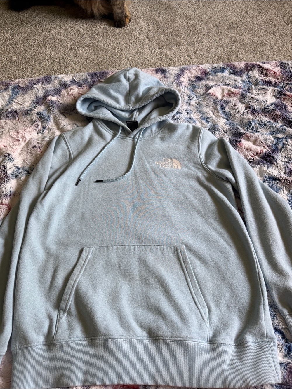 The North Face Women's Pale Blue Crewneck Hoodie